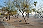 La Barceloneta La Barceloneta